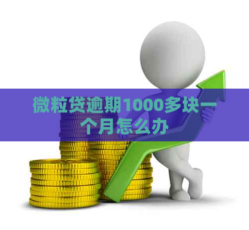 微粒贷逾期1000多块一个月怎么办