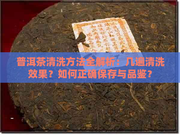 普洱茶清洗方法全解析：几遍清洗效果？如何正确保存与品鉴？