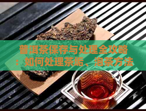 普洱茶保存与处理全攻略：如何处理茶垢、泡茶方法一网打尽！