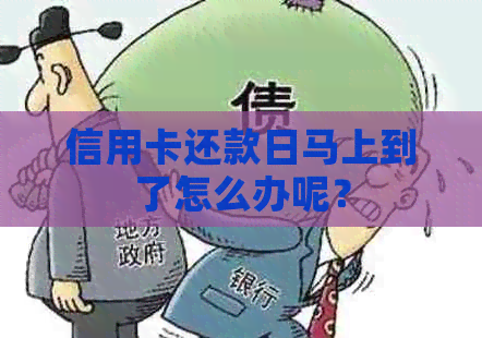 信用卡还款日马上到了怎么办呢？