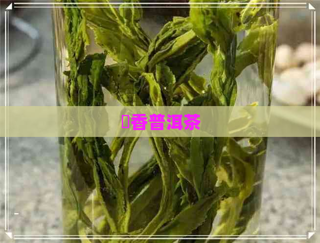 蘭香普洱茶