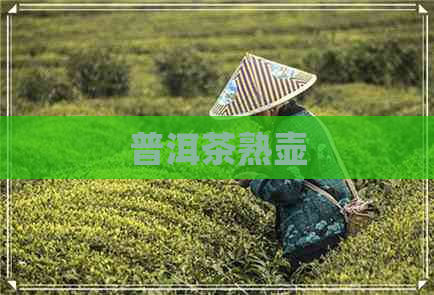 普洱茶熟壶