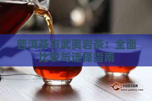 普洱茶与武夷岩茶：全面比较与选择指南