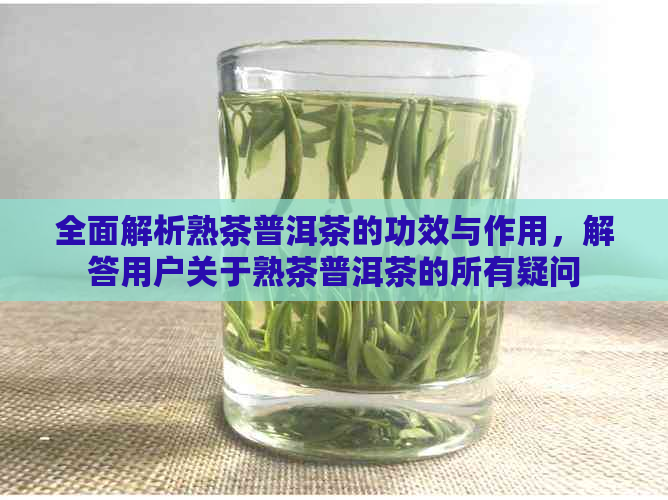 全面解析熟茶普洱茶的功效与作用，解答用户关于熟茶普洱茶的所有疑问