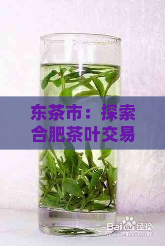 东茶市：探索合肥茶叶交易中心的地址