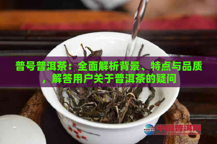 普号普洱茶：全面解析背景、特点与品质，解答用户关于普洱茶的疑问