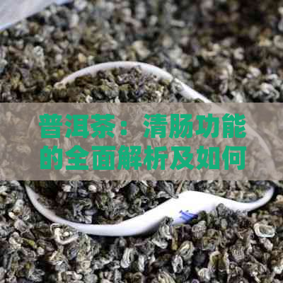 普洱茶：清肠功能的全面解析及如何正确饮用以达到效果