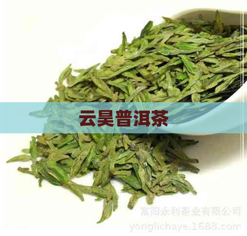 云昊普洱茶