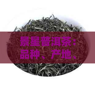 景星普洱茶：品种、产地、年份、品质及泡法全方位解析，助您轻松选购和品鉴