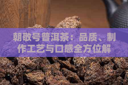 朝敬号普洱茶：品质、制作工艺与口感全方位解析，助您选购优质普洱茶