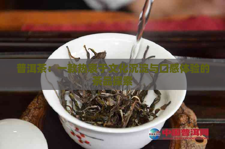 普洱茶：一款热衷于文化沉淀与口感体验的茶品探索