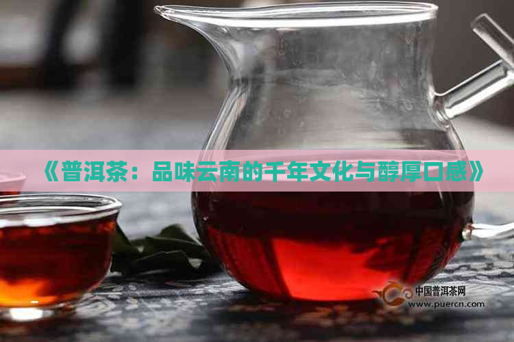 《普洱茶：品味云南的千年文化与醇厚口感》