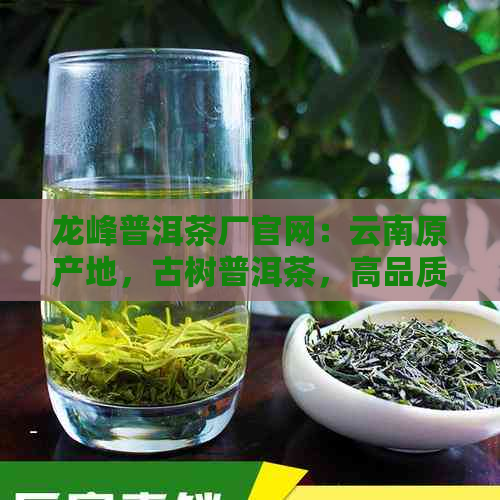 龙峰普洱茶厂官网：云南原产地，古树普洱茶，高品质茶叶体验