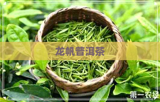 龙帆普洱茶