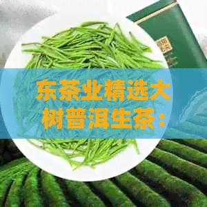 东茶业精选大树普洱生茶：一款融合国粹与茶叶艺术的高品质饮品价格表