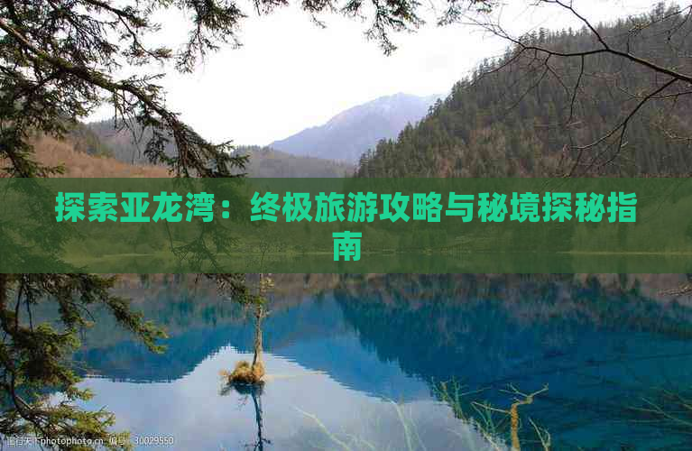 探索亚龙湾：终极旅游攻略与秘境探秘指南