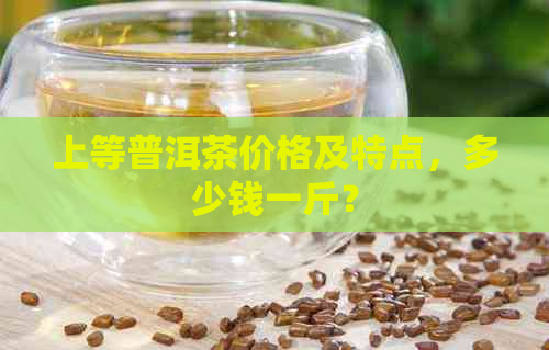 上等普洱茶价格及特点，多少钱一斤？