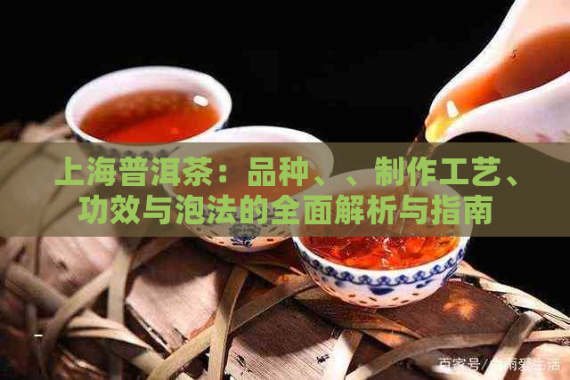 上海普洱茶：品种、、制作工艺、功效与泡法的全面解析与指南