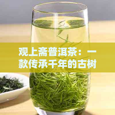 观上斋普洱茶：一款传承千年的古树茶品鉴之旅