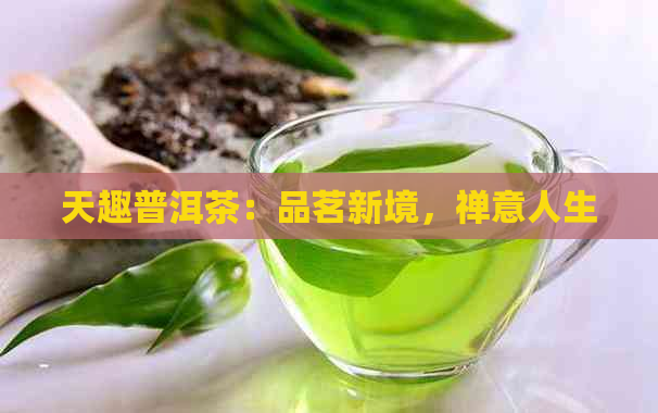 天趣普洱茶：品茗新境，禅意人生