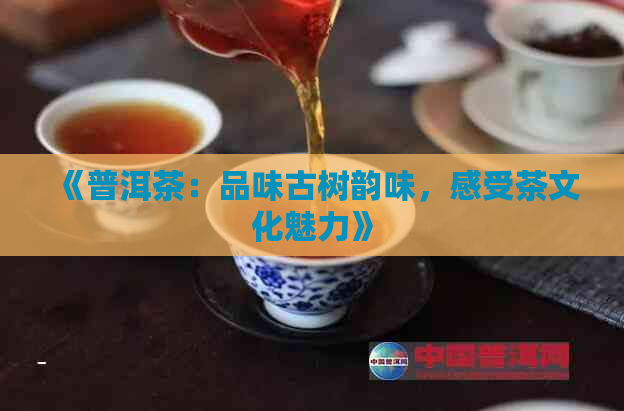 《普洱茶：品味古树韵味，感受茶文化魅力》