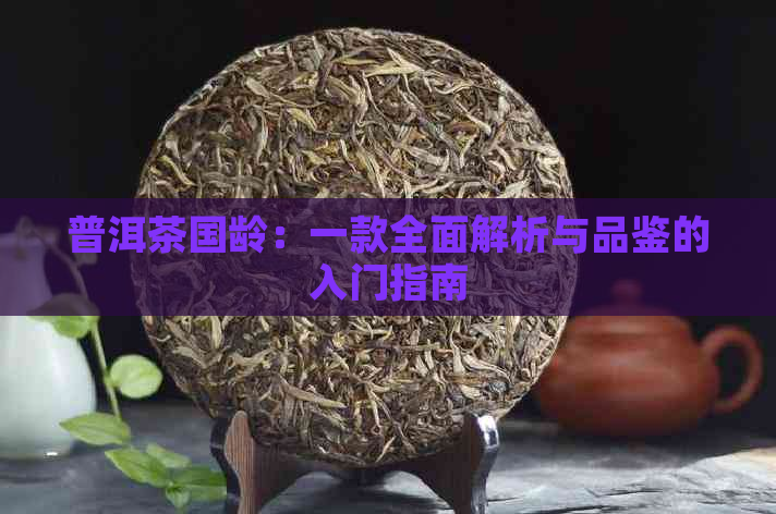 普洱茶国龄：一款全面解析与品鉴的入门指南