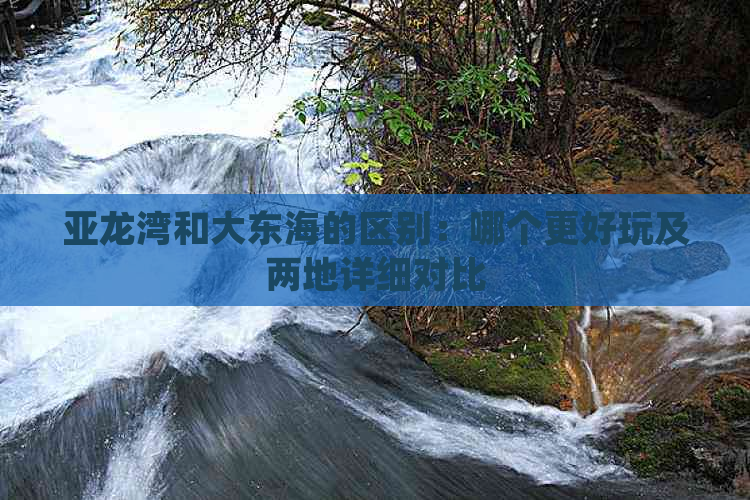 亚龙湾和大东海的区别：哪个更好玩及两地详细对比