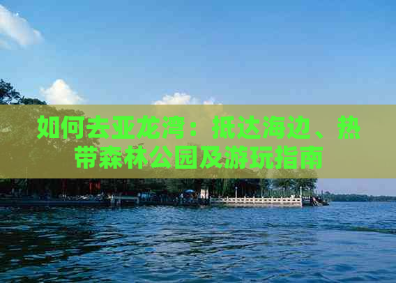 如何去亚龙湾：抵达海边、热带森林公园及游玩指南