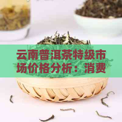 云南普洱茶特级市场价格分析：消费者指南与行业动态