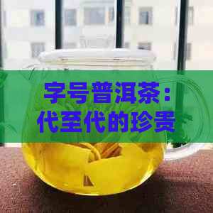 字号普洱茶：代至代的珍贵茶品，历悠久，品质上乘。