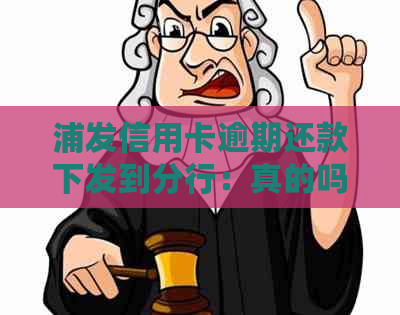 浦发信用卡逾期还款下发到分行：真的吗？还有哪些相关信息需要了解？