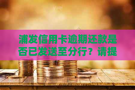 浦发信用卡逾期还款是否已发送至分行？请提供相关信息。