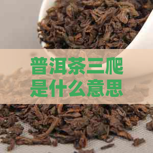 普洱茶三爬是什么意思？云川与普洱茶三笠的关系是什么？