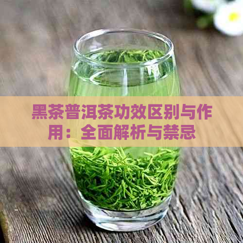 黑茶普洱茶功效区别与作用：全面解析与禁忌