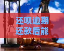 还呗逾期还款后能否再次借款？如何处理？