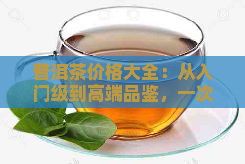 普洱茶价格大全：从入门级到高端品鉴，一次解决您的所有疑问