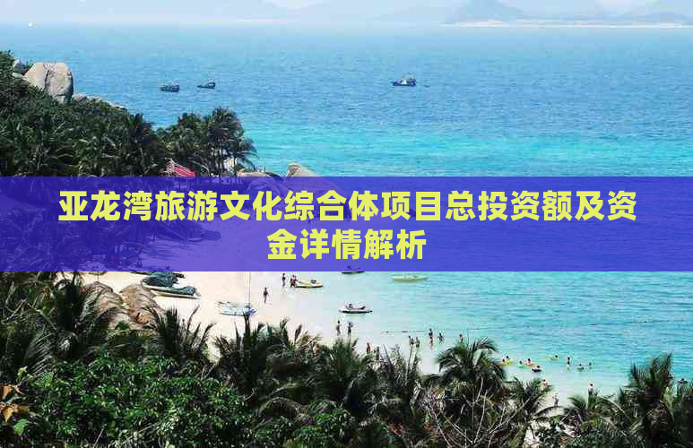 亚龙湾旅游文化综合体项目总投资额及资金详情解析