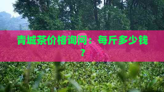 青城茶价格询问：每斤多少钱？