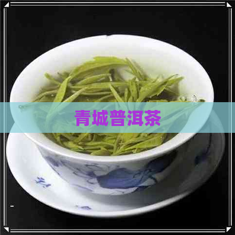 青城普洱茶