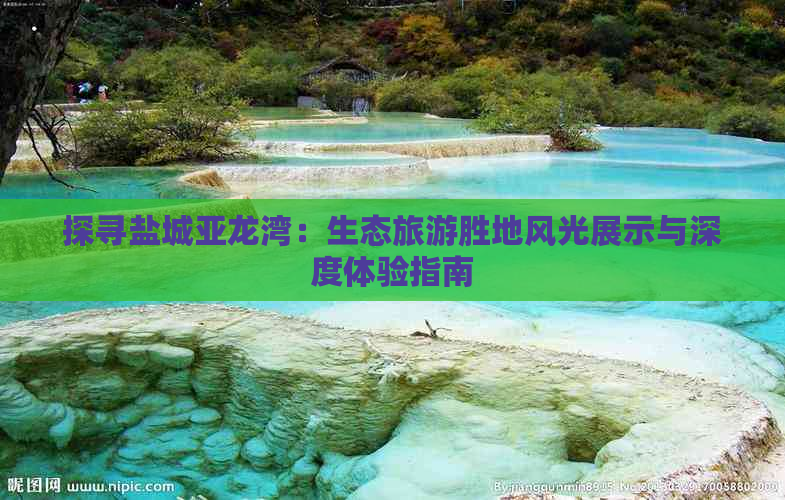 探寻盐城亚龙湾：生态旅游胜地风光展示与深度体验指南