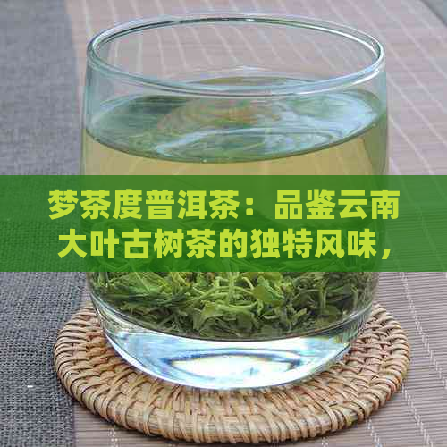 梦茶度普洱茶：品鉴云南大叶古树茶的独特风味，感受普洱茶的魅力与健益处