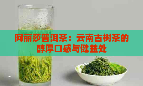 阿丽莎普洱茶：云南古树茶的醇厚口感与健益处