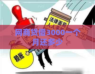 网商贷借3000一个月还多少