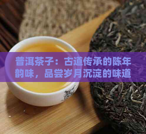 普洱茶子：古道传承的陈年韵味，品尝岁月沉淀的味道