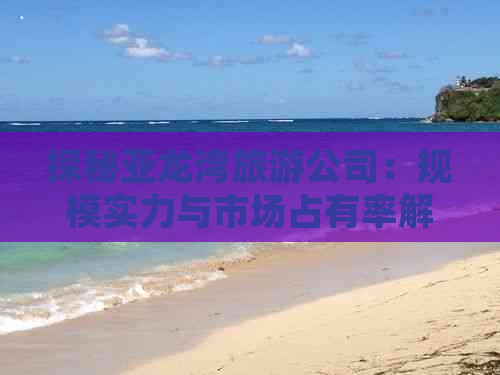 探秘亚龙湾旅游公司：规模实力与市场占有率解析