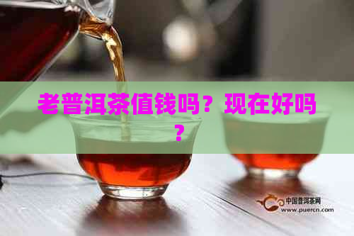 老普洱茶值钱吗？现在好吗？