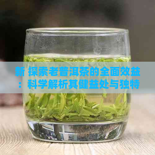 新 探索老普洱茶的全面效益：科学解析其健益处与独特风味