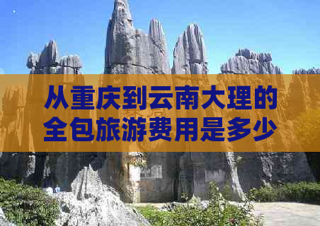 从重庆到云南大理的全包旅游费用是多少？