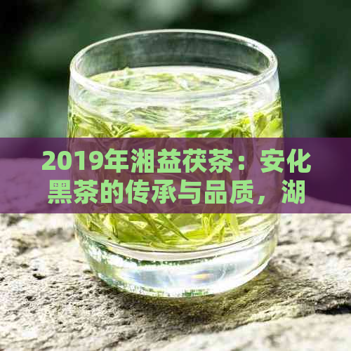 2019年湘益茯茶：安化黑茶的传承与品质，湖南茶叶文化的魅力