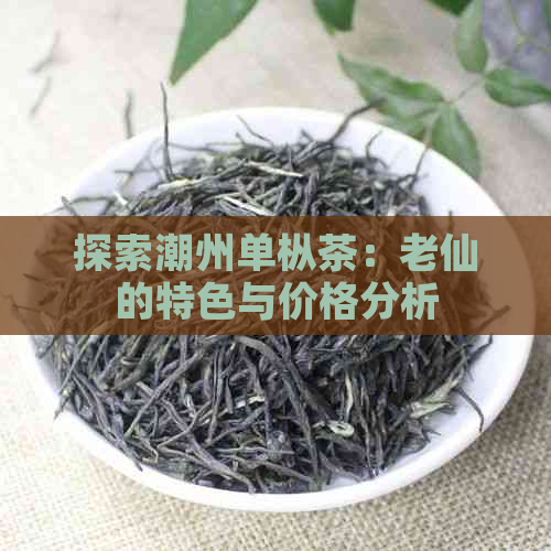 探索潮州单枞茶：老仙的特色与价格分析